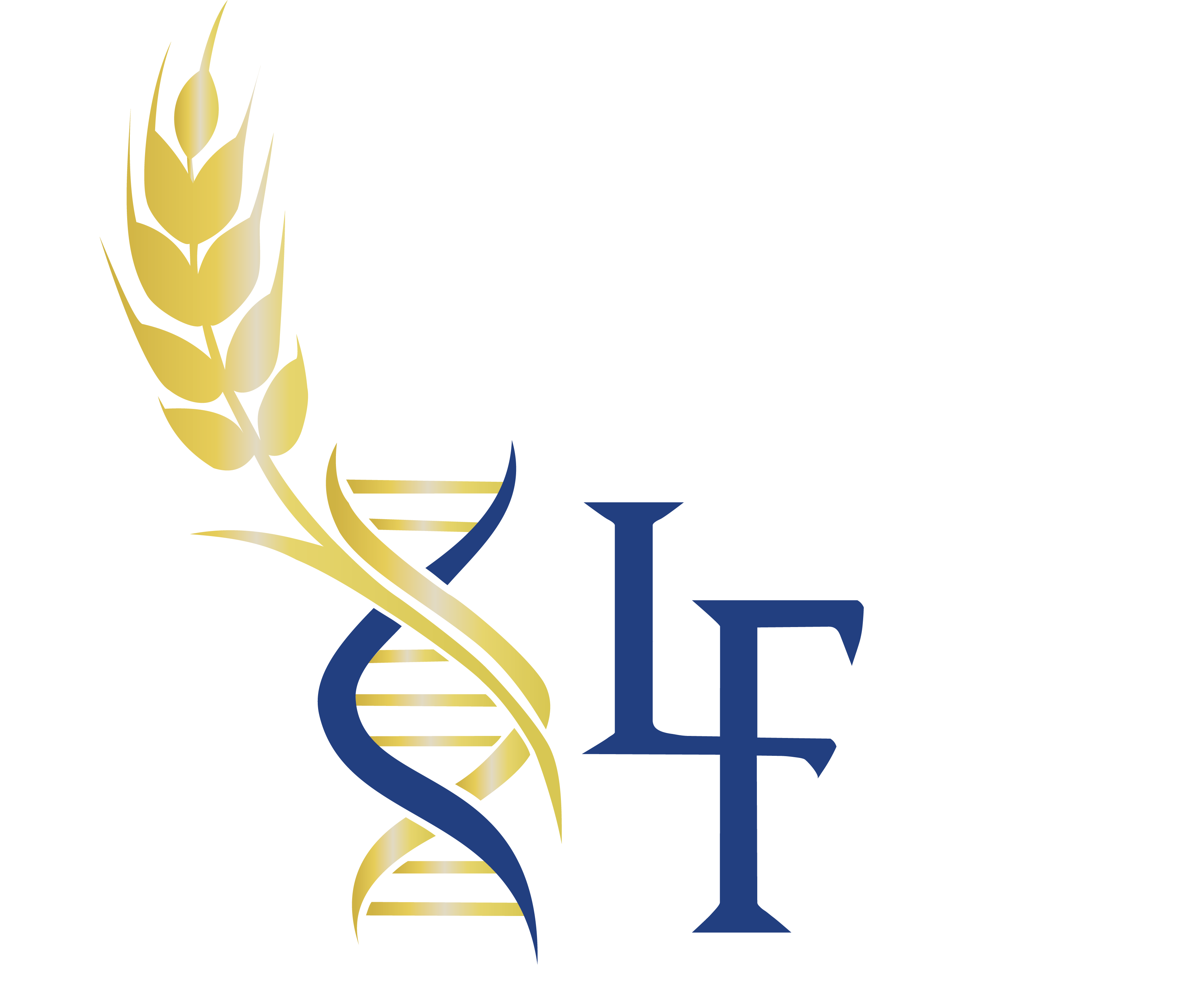 Logo Leandro Fernandes